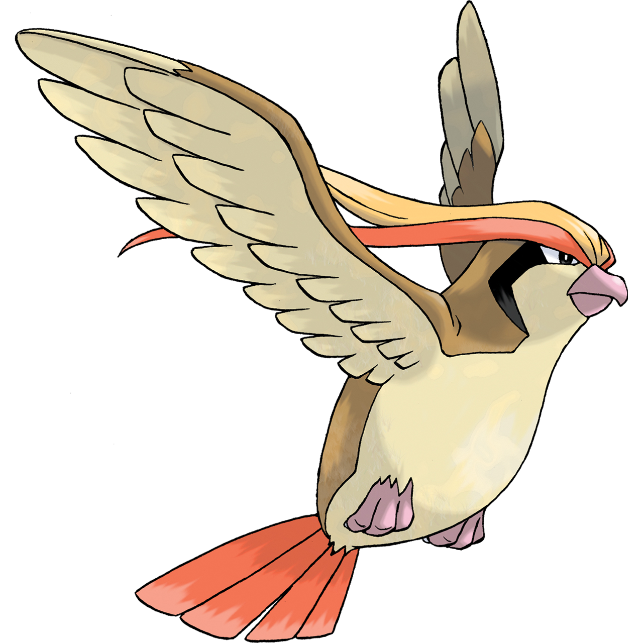 Pidgeot