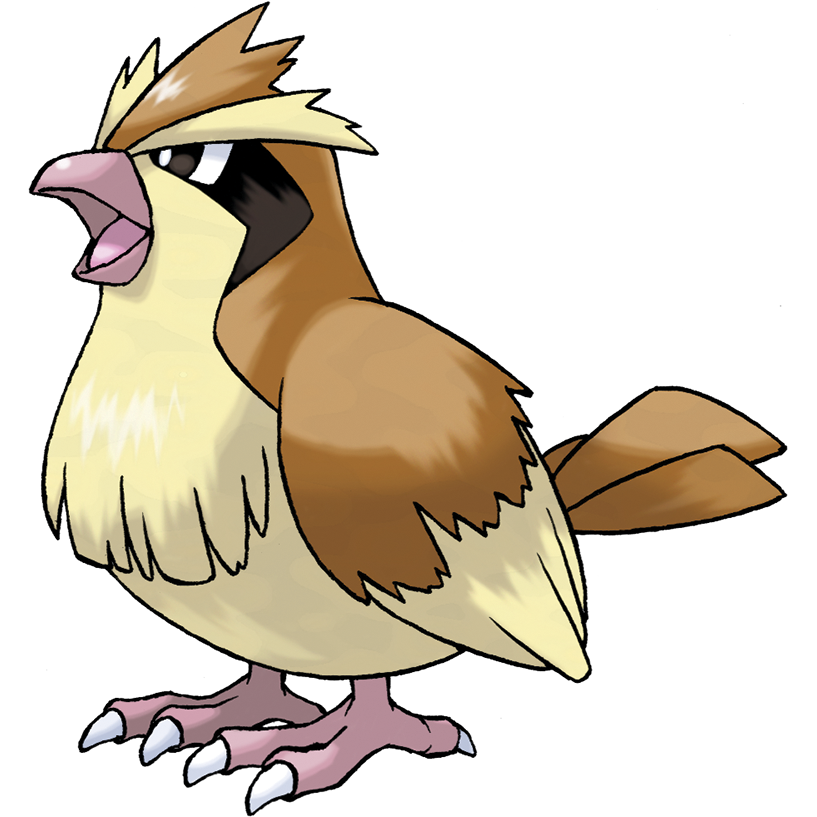 Pidgey